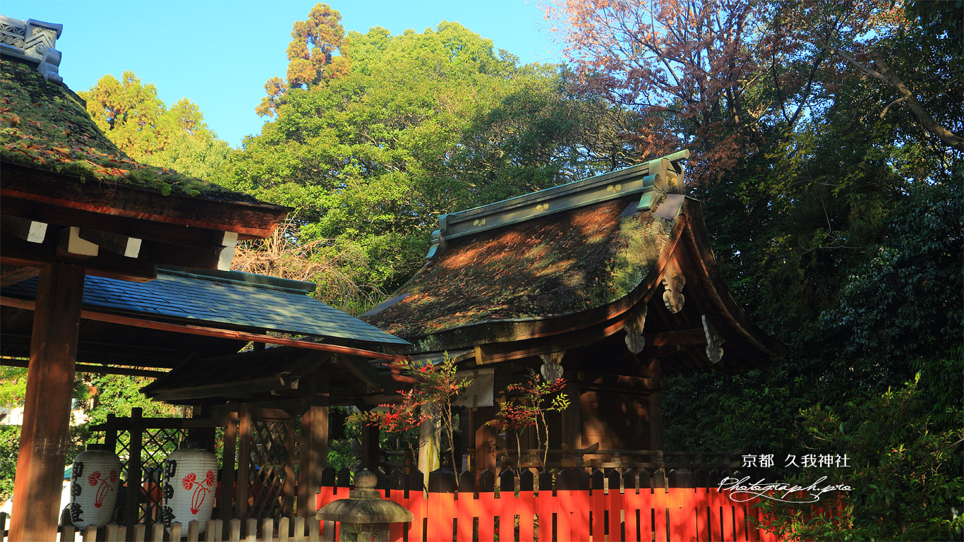 久我神社 南天と本殿 壁紙