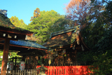 久我神社 南天と本殿