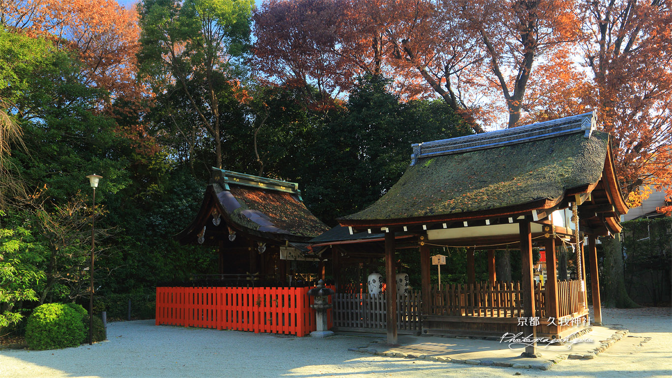 久我神社 大宮の森の雑木紅葉 壁紙