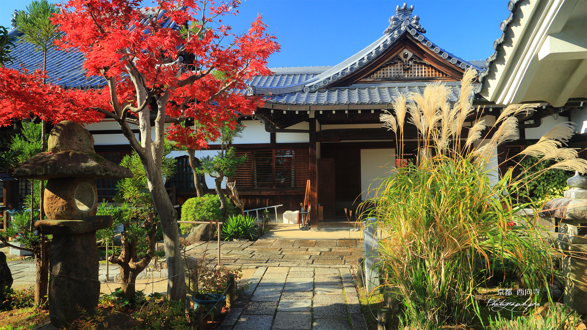 西向寺 紅葉と玄関