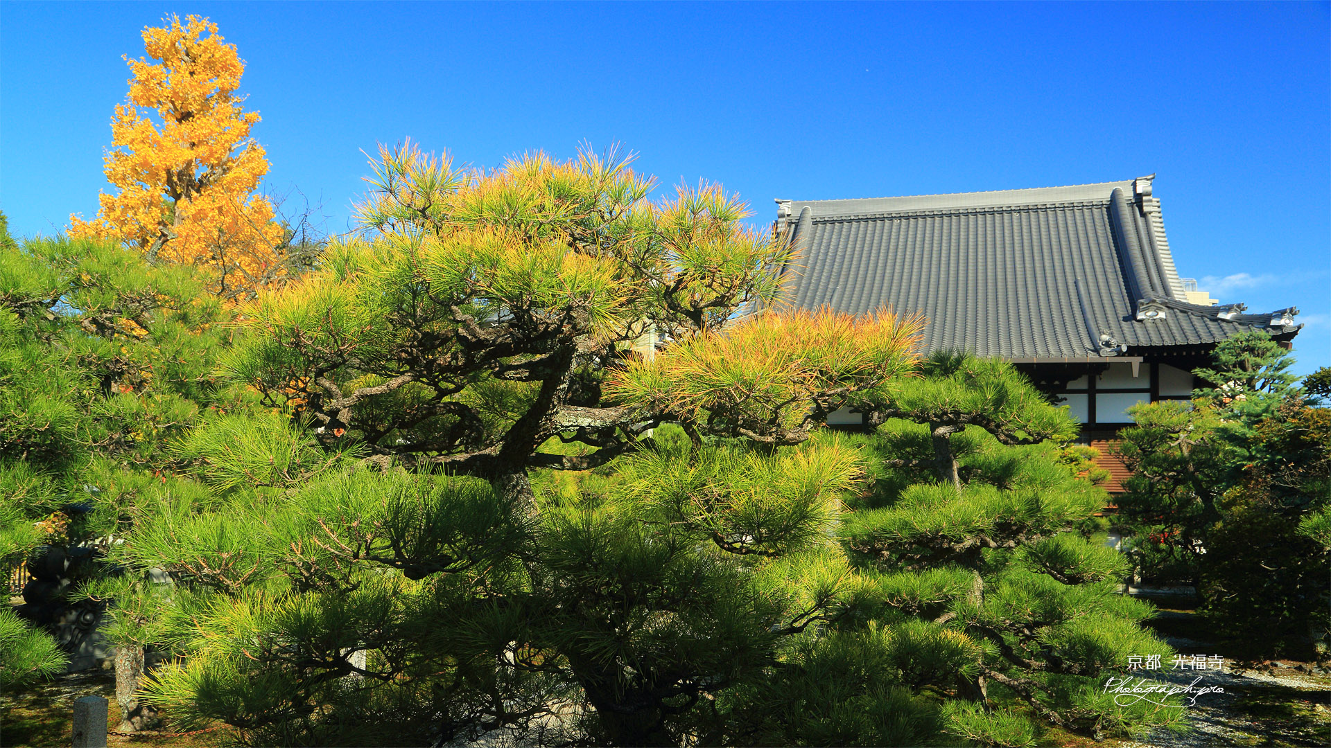 光福寺 白砂青松と本堂