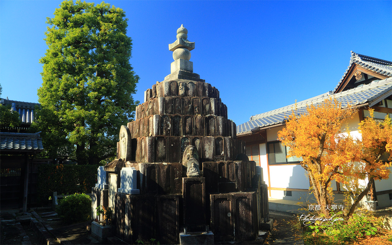 天寧寺 無縁塔と黄葉 壁紙