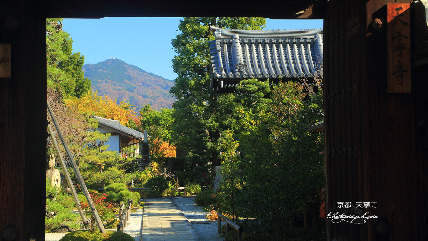 天寧寺 額縁門越しの雑木紅葉の比叡山 壁紙