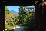 天寧寺 額縁門越しの雑木紅葉の比叡山