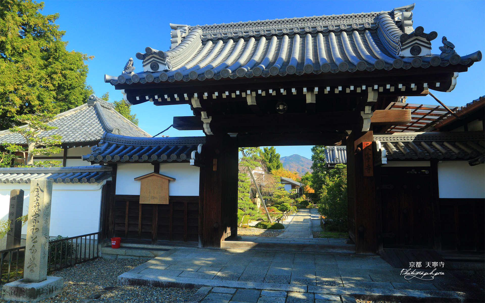 天寧寺 山門越しの黄葉
