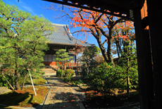 佛陀寺