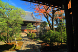佛陀寺