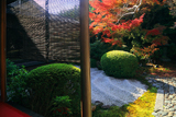 閑臥庵 簾と紅葉