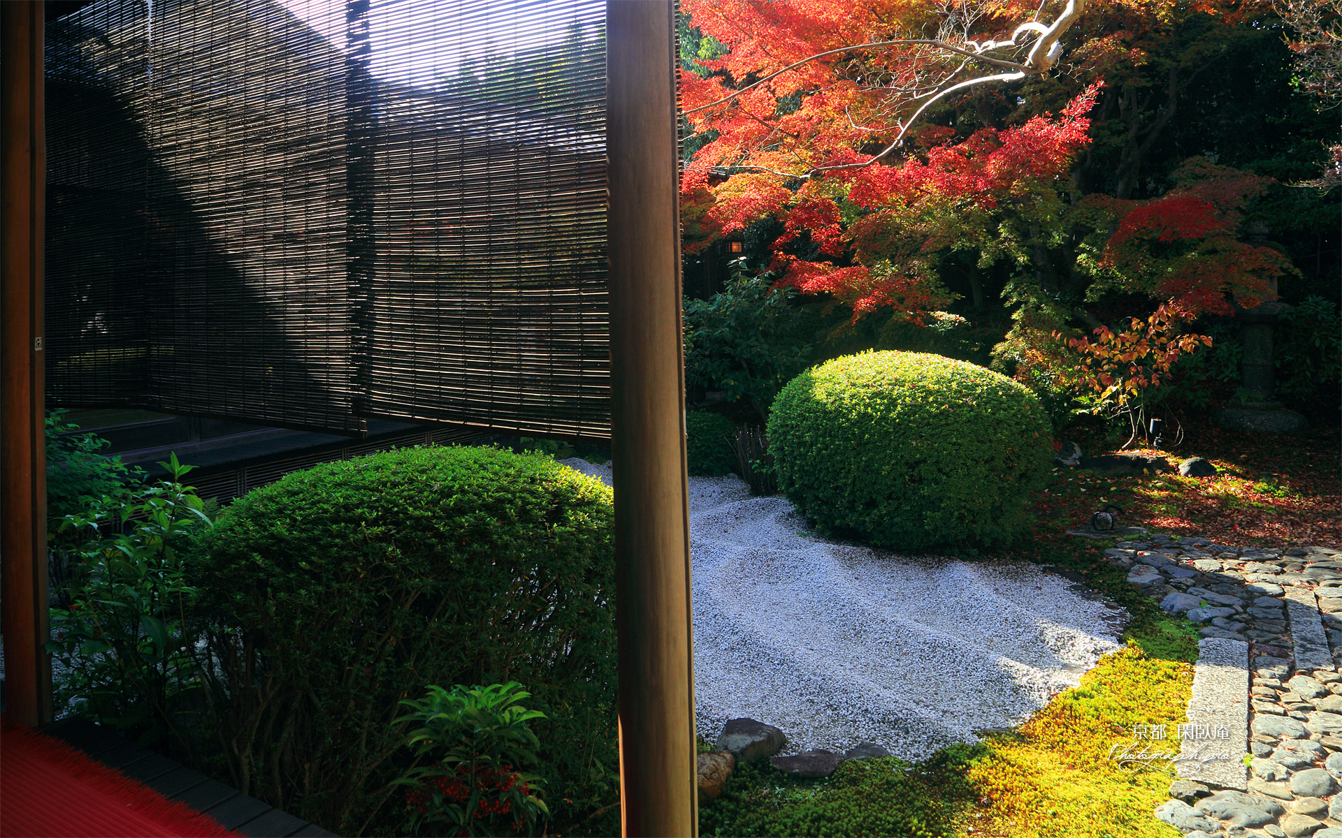 閑臥庵 簾と紅葉