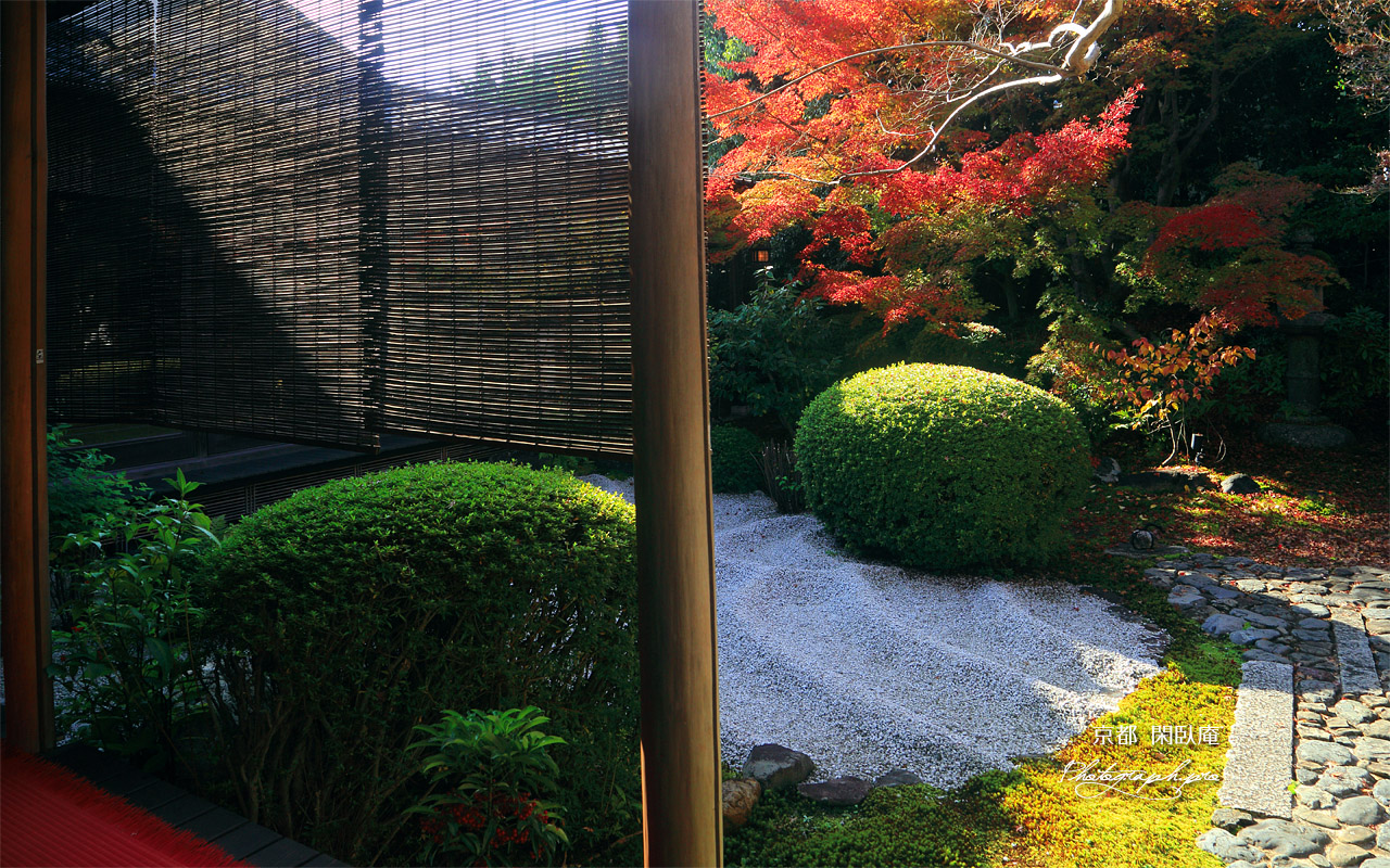 閑臥庵 簾と紅葉 壁紙
