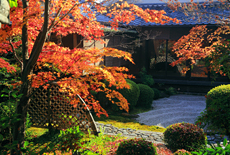閑臥庵