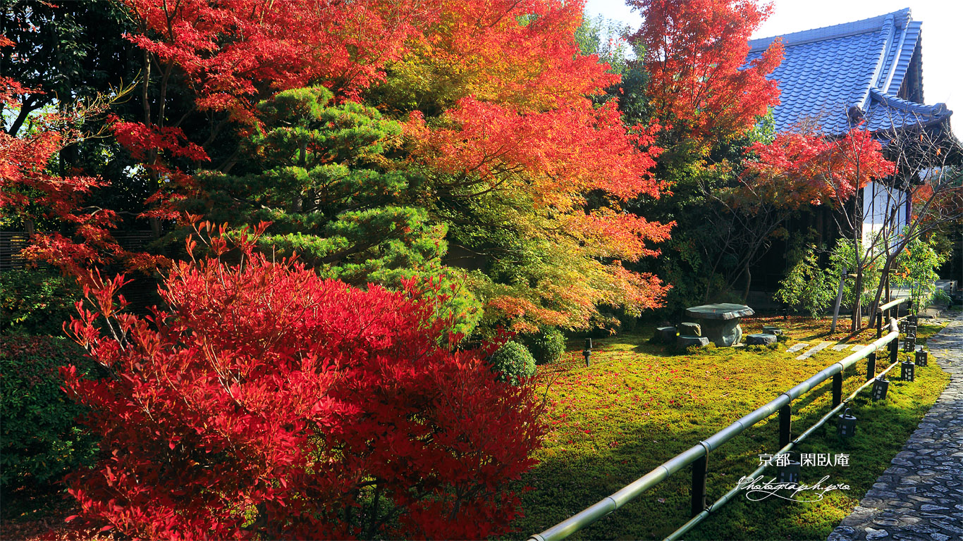 閑臥庵 躑躅紅葉と鎮宅堂 壁紙
