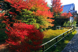 閑臥庵 躑躅紅葉と鎮宅堂