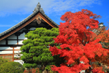 相国寺慈雲院 紅葉と庫裡