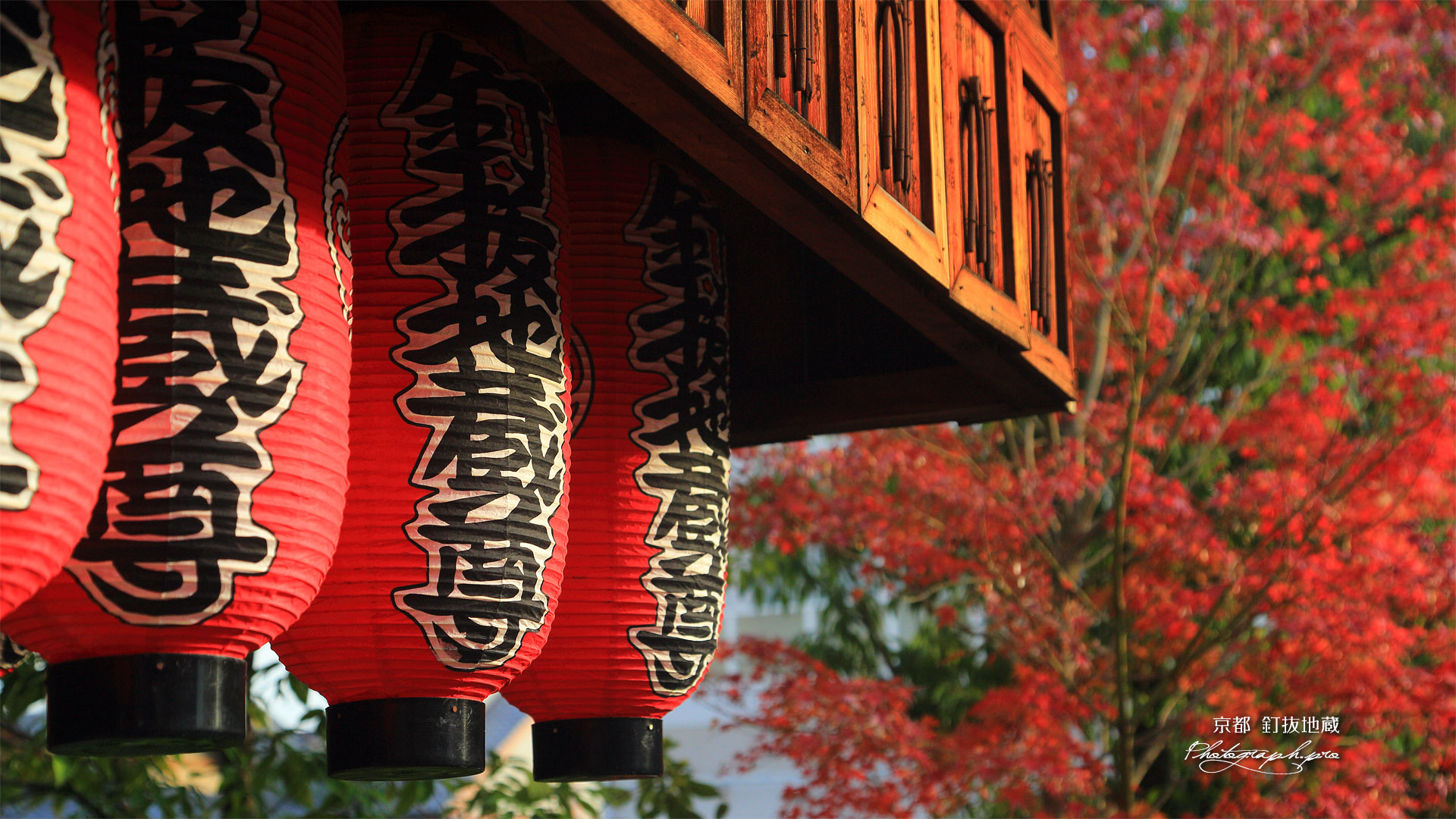 石像寺 地蔵堂の提燈と紅葉