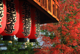 石像寺 地蔵堂の提燈と紅葉