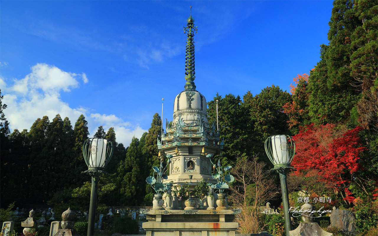 小町寺 舎利塔と紅葉 壁紙