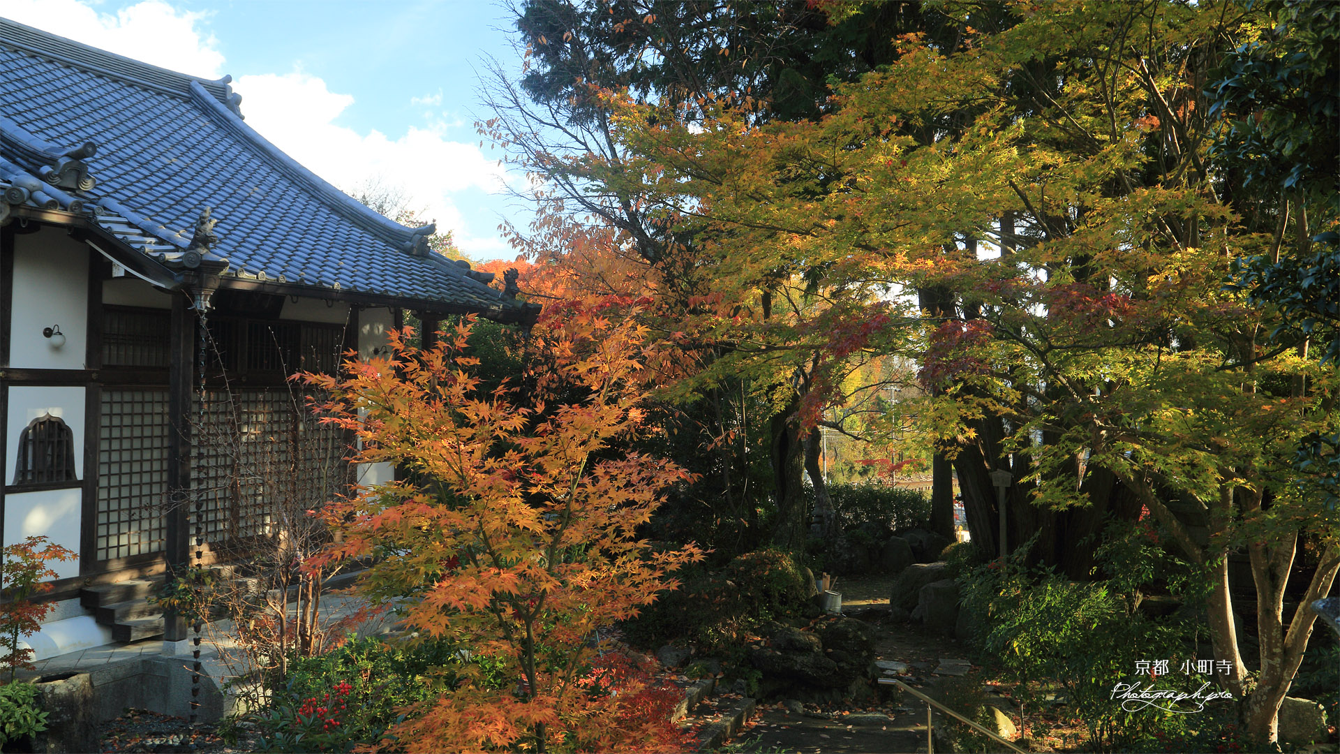 小町寺 黄葉の本堂