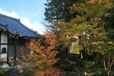 小町寺 黄葉の本堂