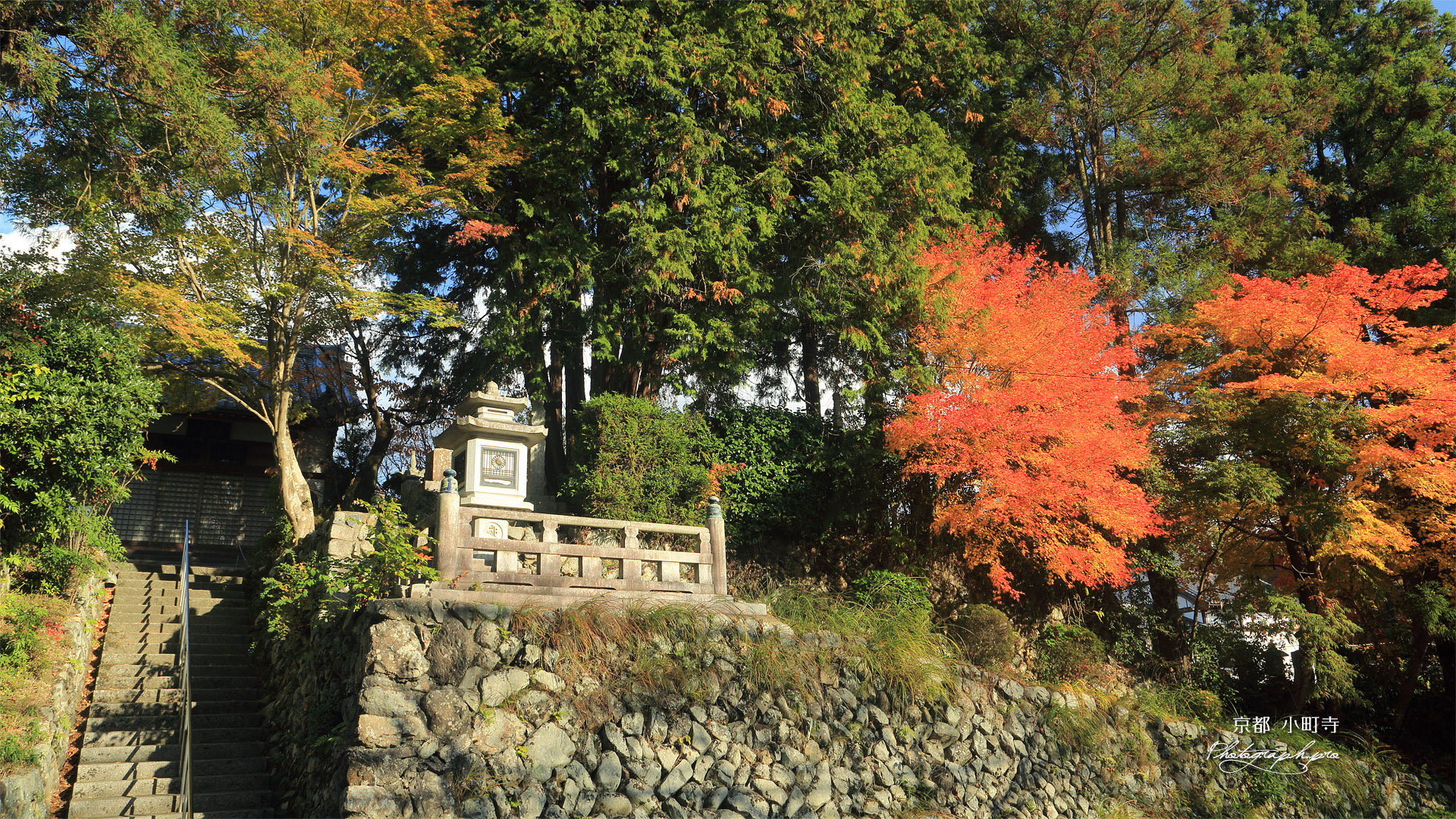小町寺 紅葉と本堂