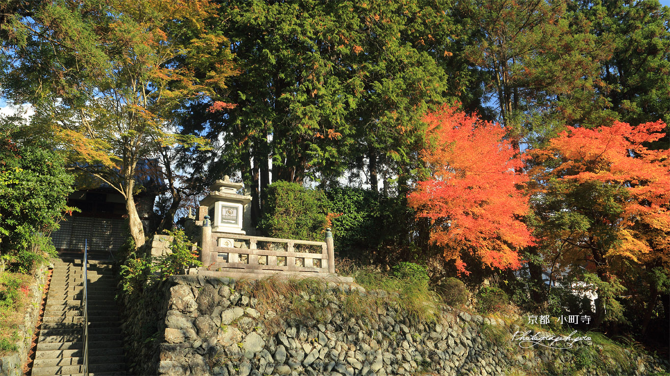 小町寺 紅葉と本堂 壁紙