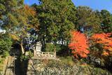 小町寺 紅葉と本堂