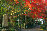 京都岩倉 紅葉の大雲寺