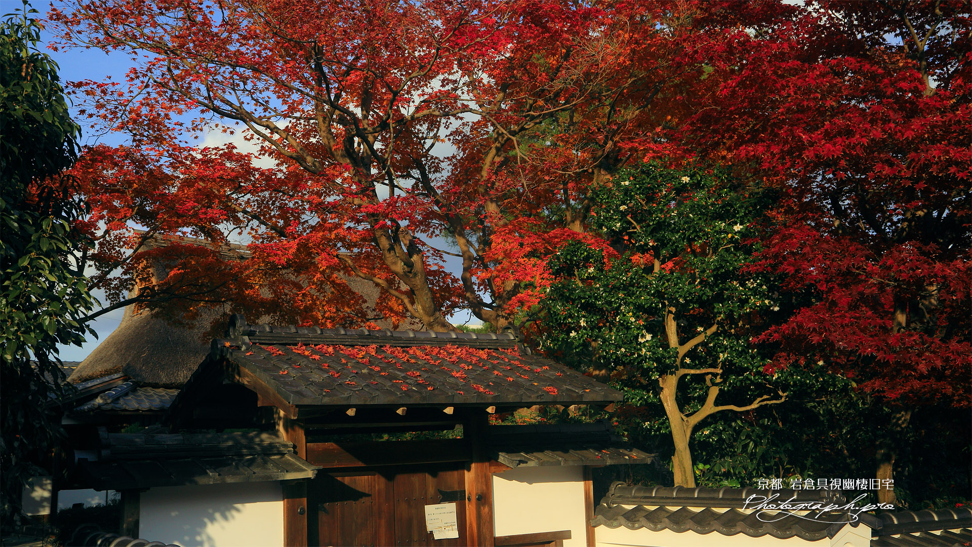 岩倉具視幽棲旧宅 紅葉と表門