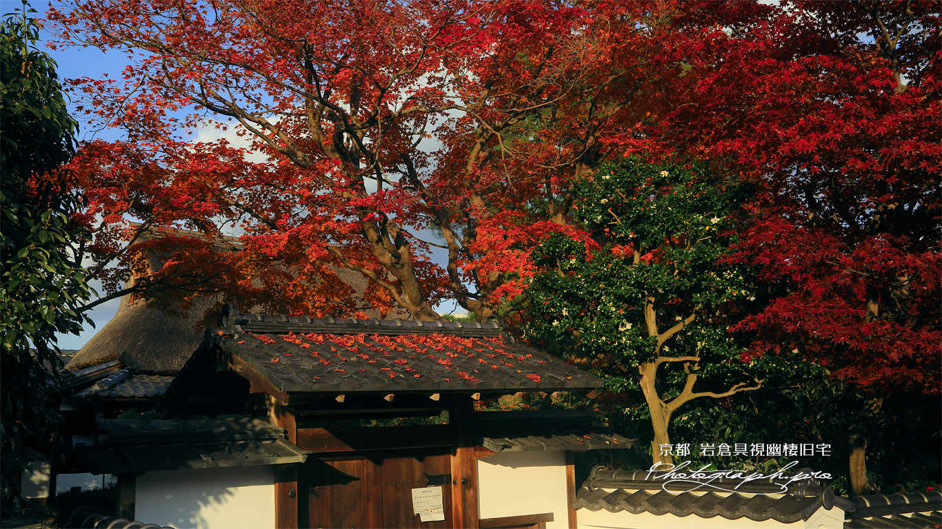 岩倉具視幽棲旧宅 紅葉と表門 壁紙