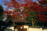 岩倉具視幽棲旧宅 紅葉と表門