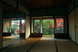 岩倉具視幽棲旧宅 主屋越しの紅葉庭園