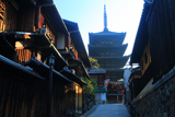 夢見坂から桜紅葉と八坂塔