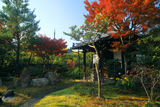 春光院