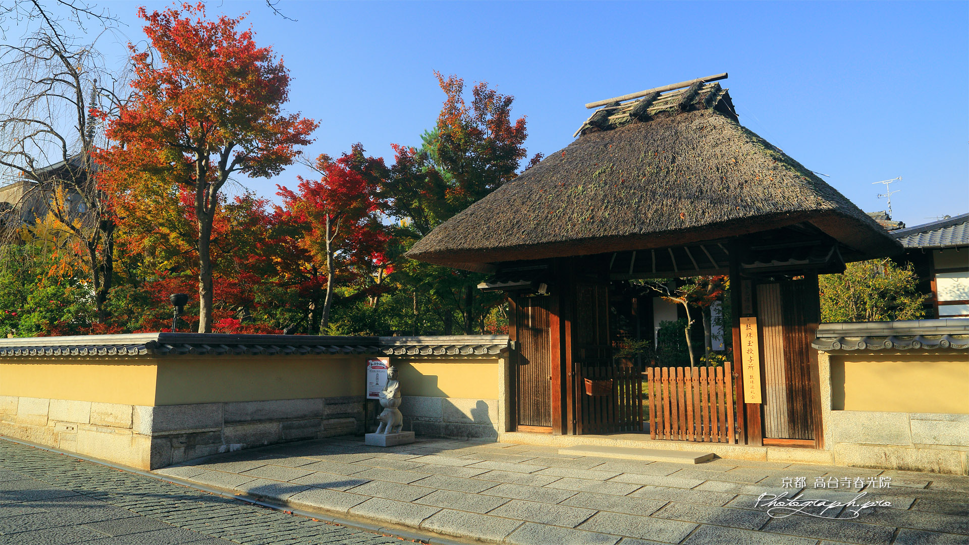 春光院 山門と紅葉