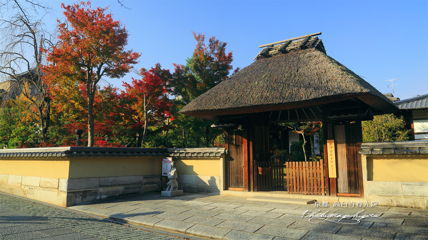 春光院 山門と紅葉 壁紙
