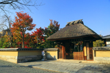 春光院 山門と紅葉
