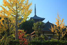 青龍寺