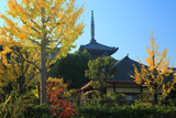 青龍寺