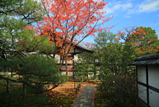 禅居庵