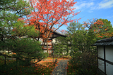 禅居庵