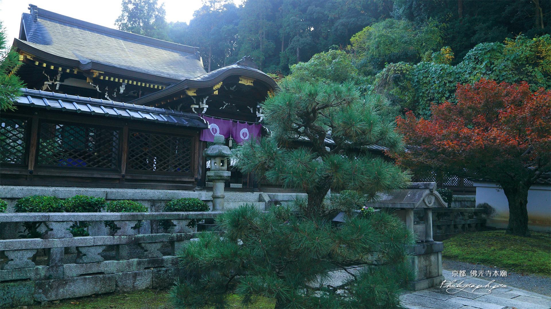 佛光寺本廟 御廟と紅葉