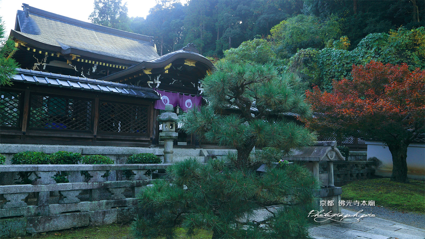 佛光寺本廟 御廟と紅葉 壁紙