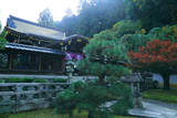 佛光寺本廟 御廟と紅葉