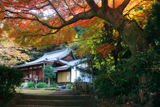 青蓮院尊勝院