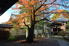 積善院