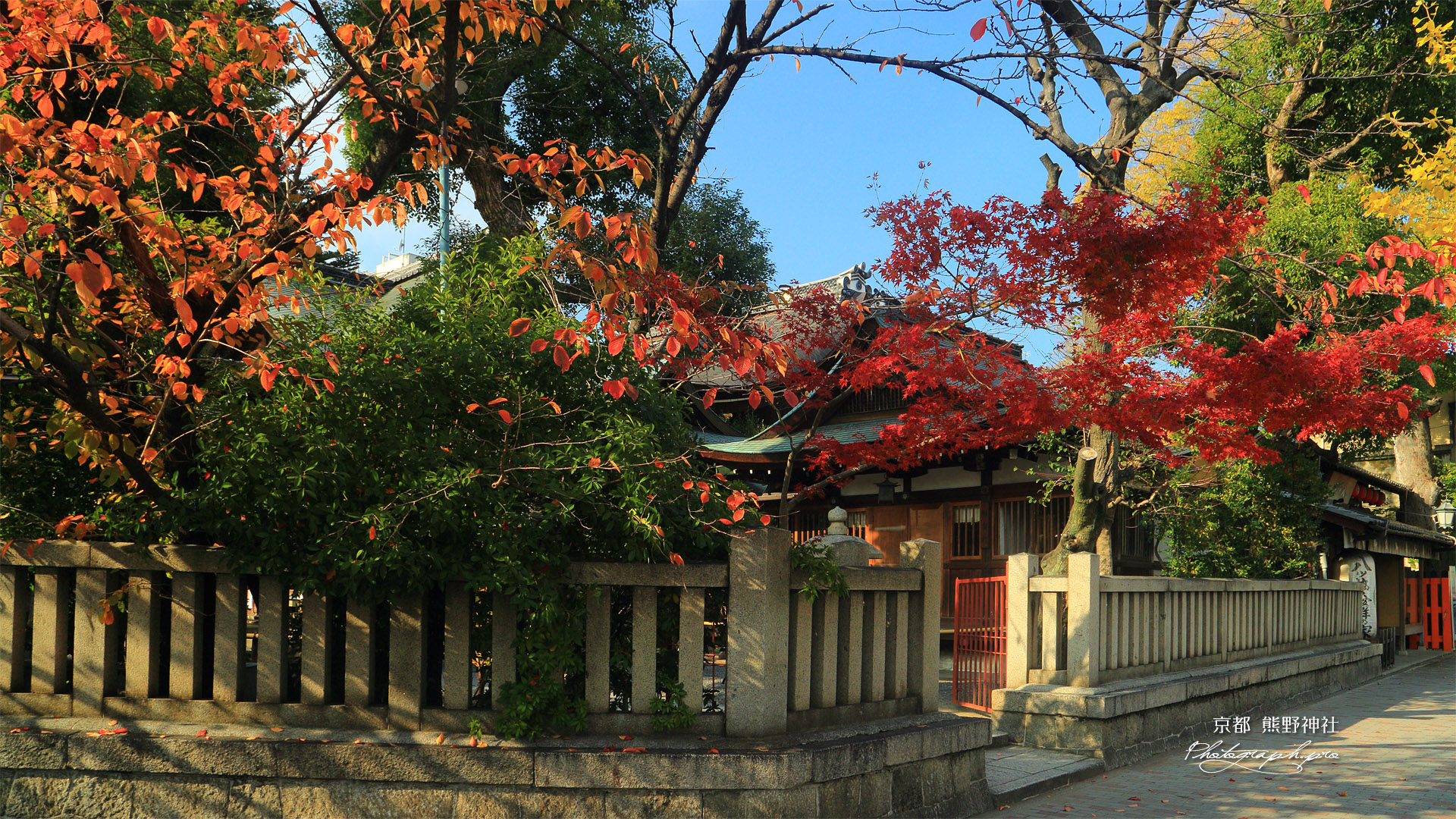 京都熊野神社 紅葉