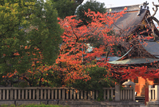 熊野神社