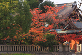 熊野神社
