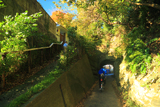 鎌倉台上町 雑木紅葉の市場隧道