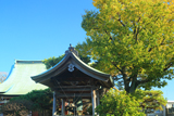 金沢安立寺 鐘楼と黄葉した高木